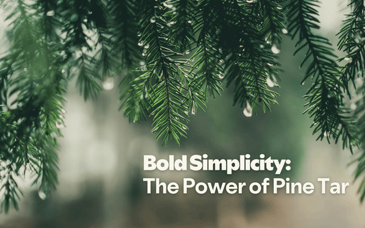 Bold Simplicity: The Power of Pine Tar
