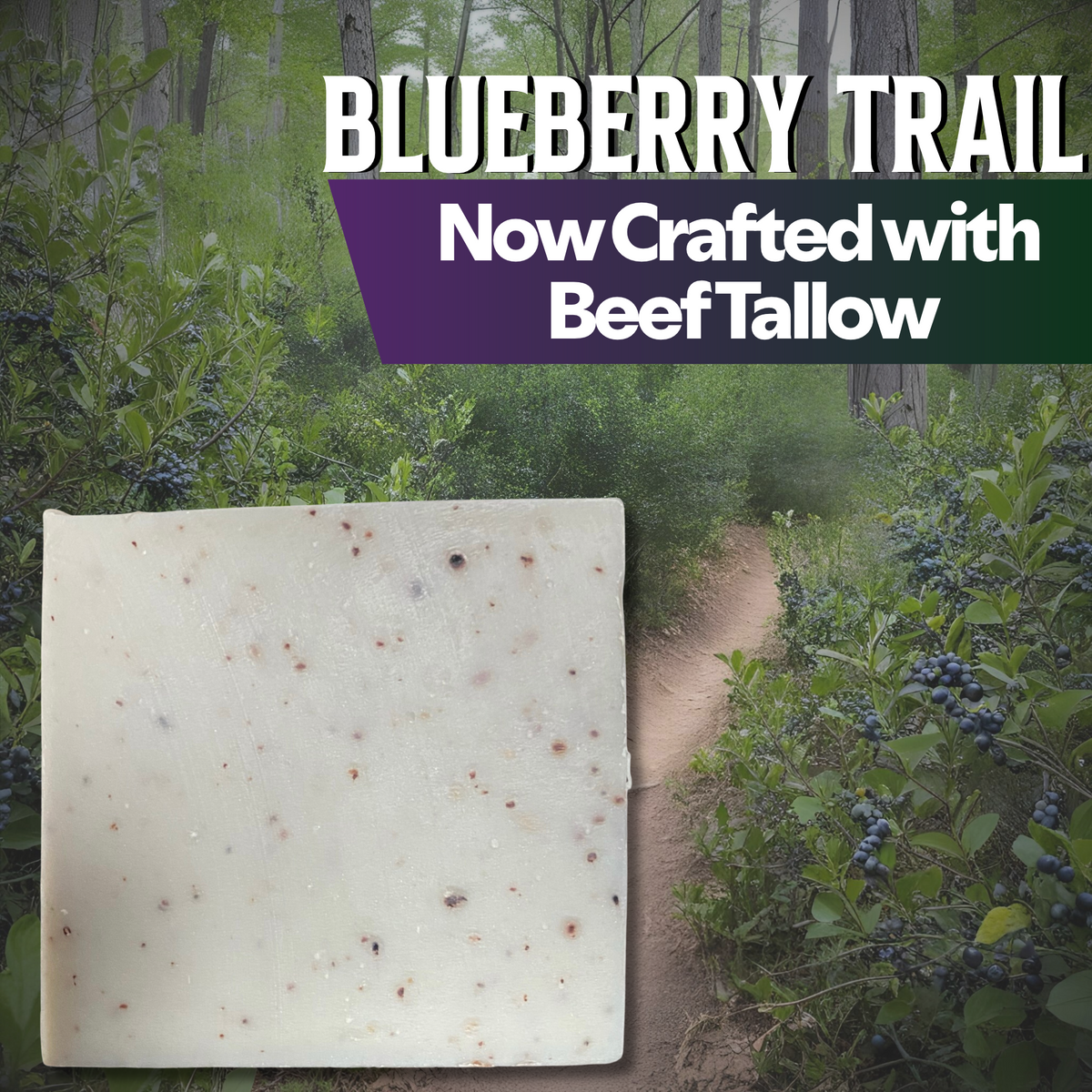 BLUEBERRY TRAIL