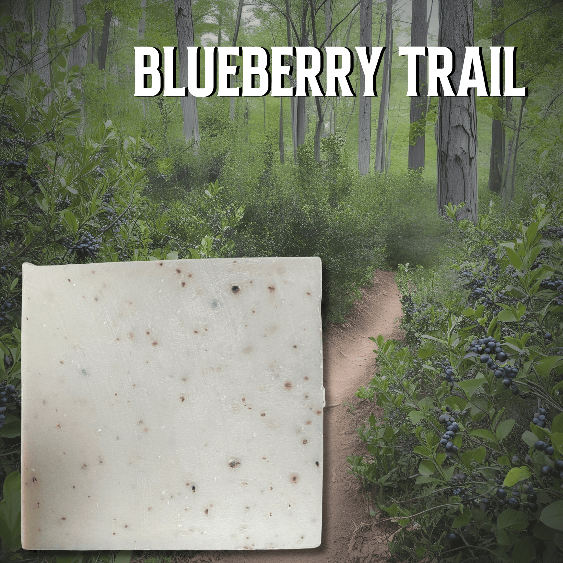 Blueberry Trail soap by Brick Box