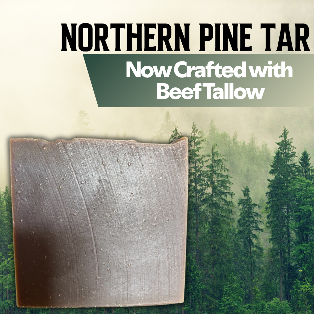 NORTHERN PINE TAR